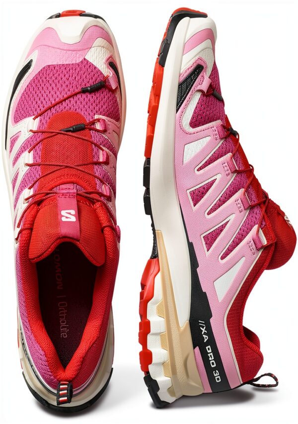 salomon abstract