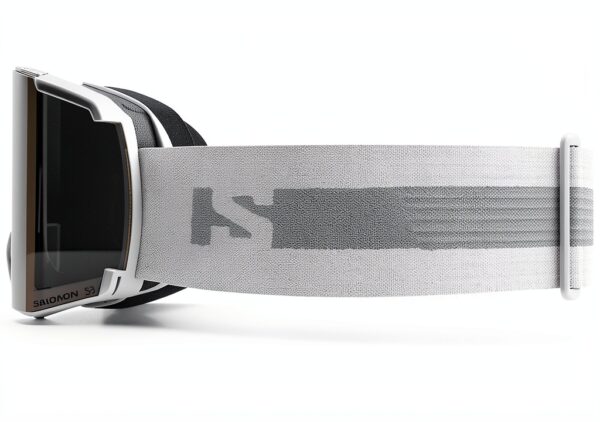 salomon abstract