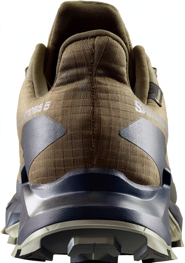 salomon abstract
