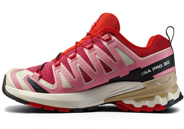 salomon ski
