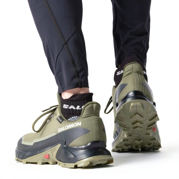 salomon abstract
