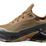 salomon shoes