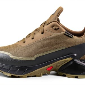 salomon shoes