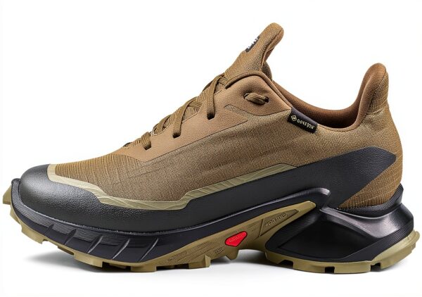 salomon shoes