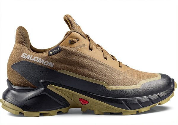 salomon xt6